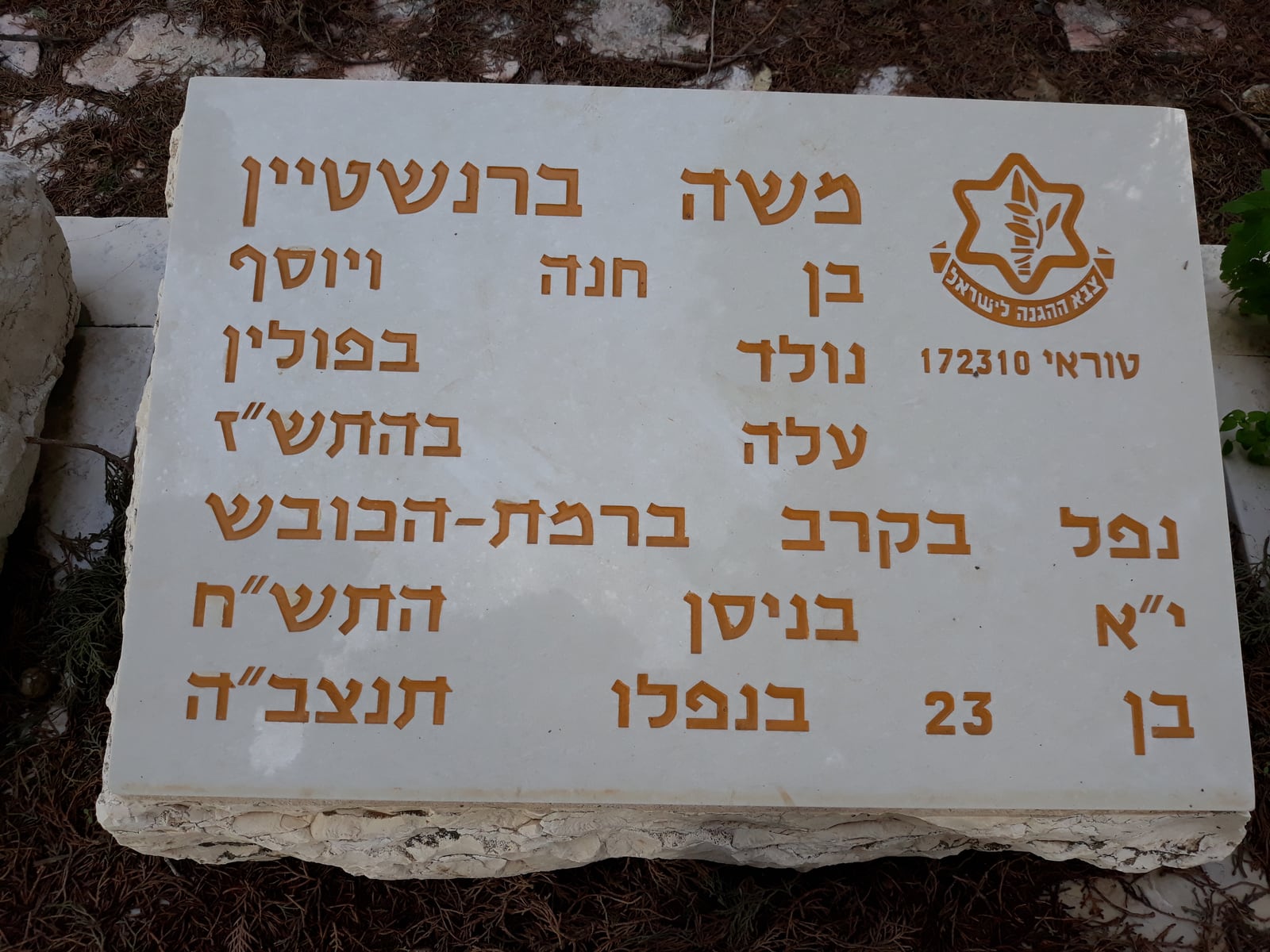 משה ברנשטיין